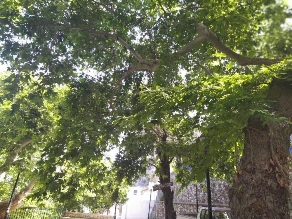 Ioli'S Apartments Архангелос Экстерьер фото